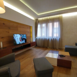 vracar apartmani nadan stan metropol