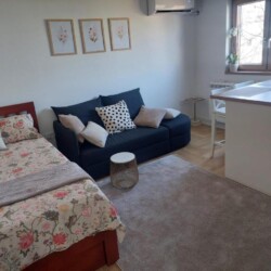 stan na dan beograd centar dorcol apartman ana