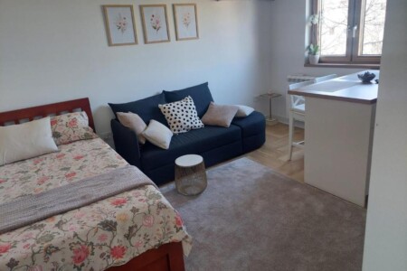 stan na dan beograd centar dorcol apartman ana