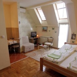 zvezdara apartman na dan ruza dnevna