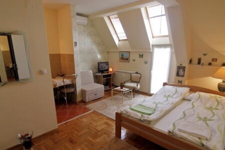 zvezdara apartman na dan ruza dnevna