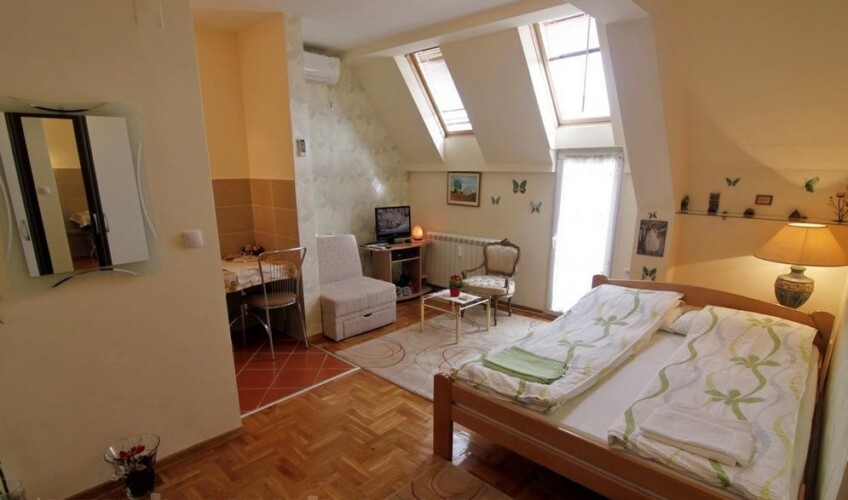 zvezdara apartman na dan ruza dnevna